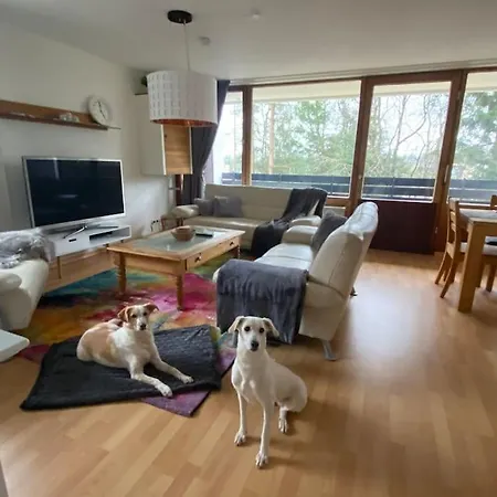 Am Fusse Des Kniebis Apartment